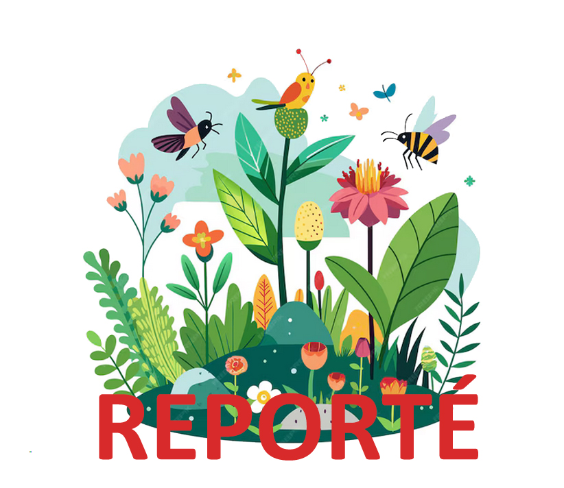 reporté